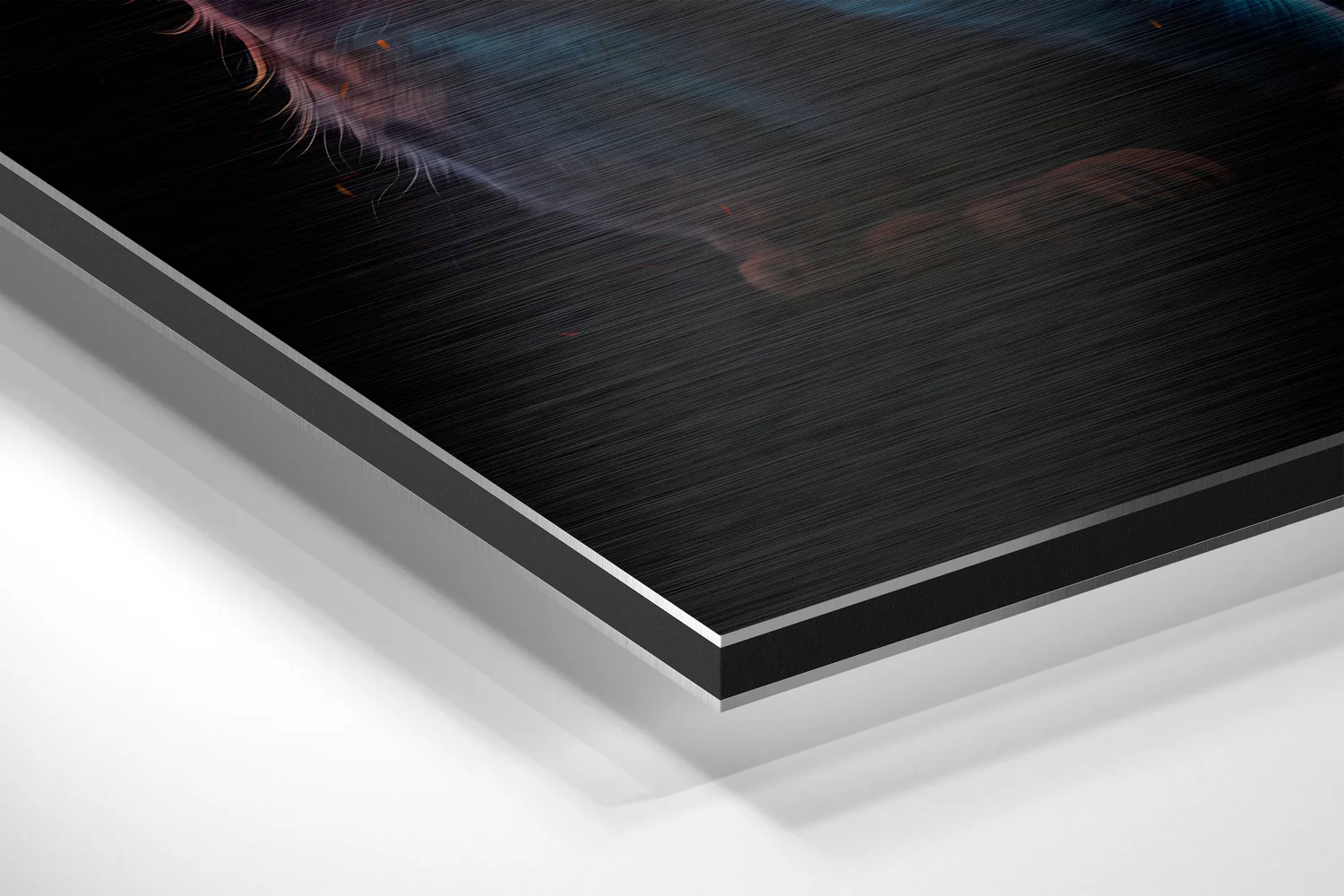 Cat Brushed Aluminum Dibond Wall Art - Image 2