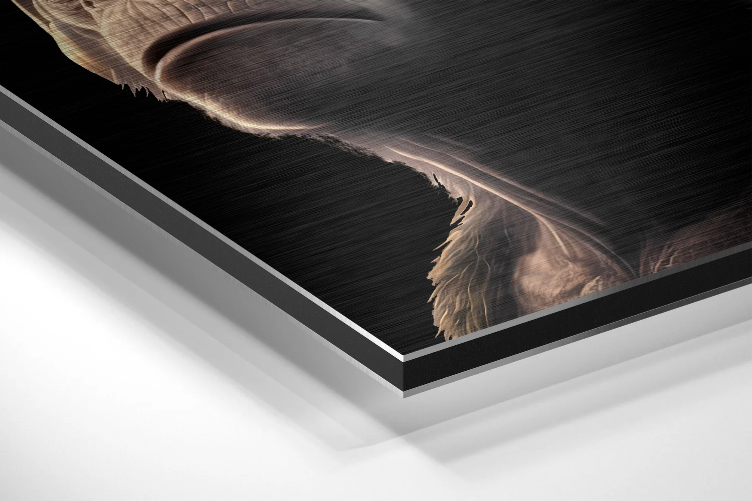 3 Wise Monkeys Brushed Aluminum Dibond Wall Art - Image 2