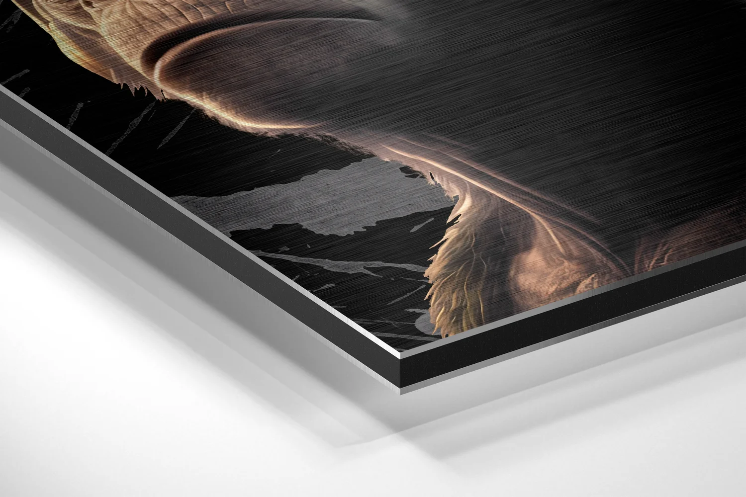 3 Wise Monkeys Brushed Aluminum Dibond Wall Art - Image 2