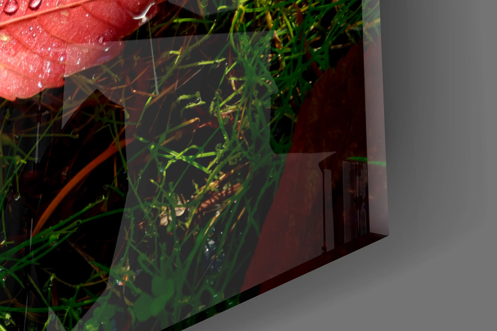 Alone Leaf Glass Wall Art - Image 6
