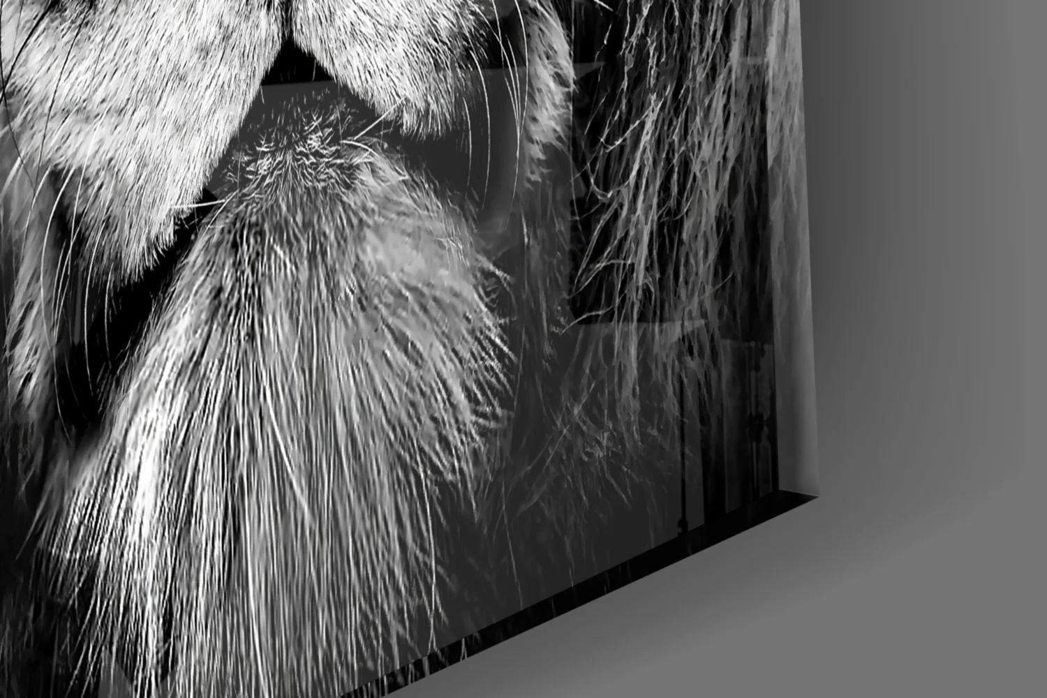 Amber Gaze Monochrome Lion Glass Wall Art - Image 7