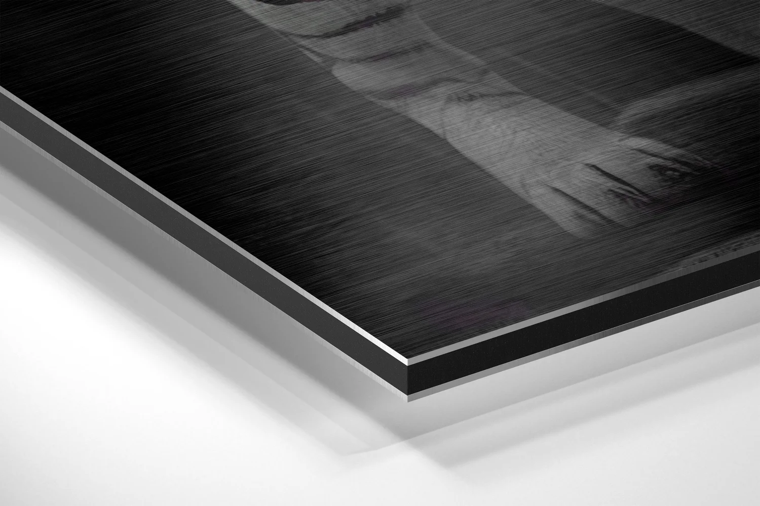 Anger of Tiger Brushed Aluminum Dibond Wall Art - Image 2
