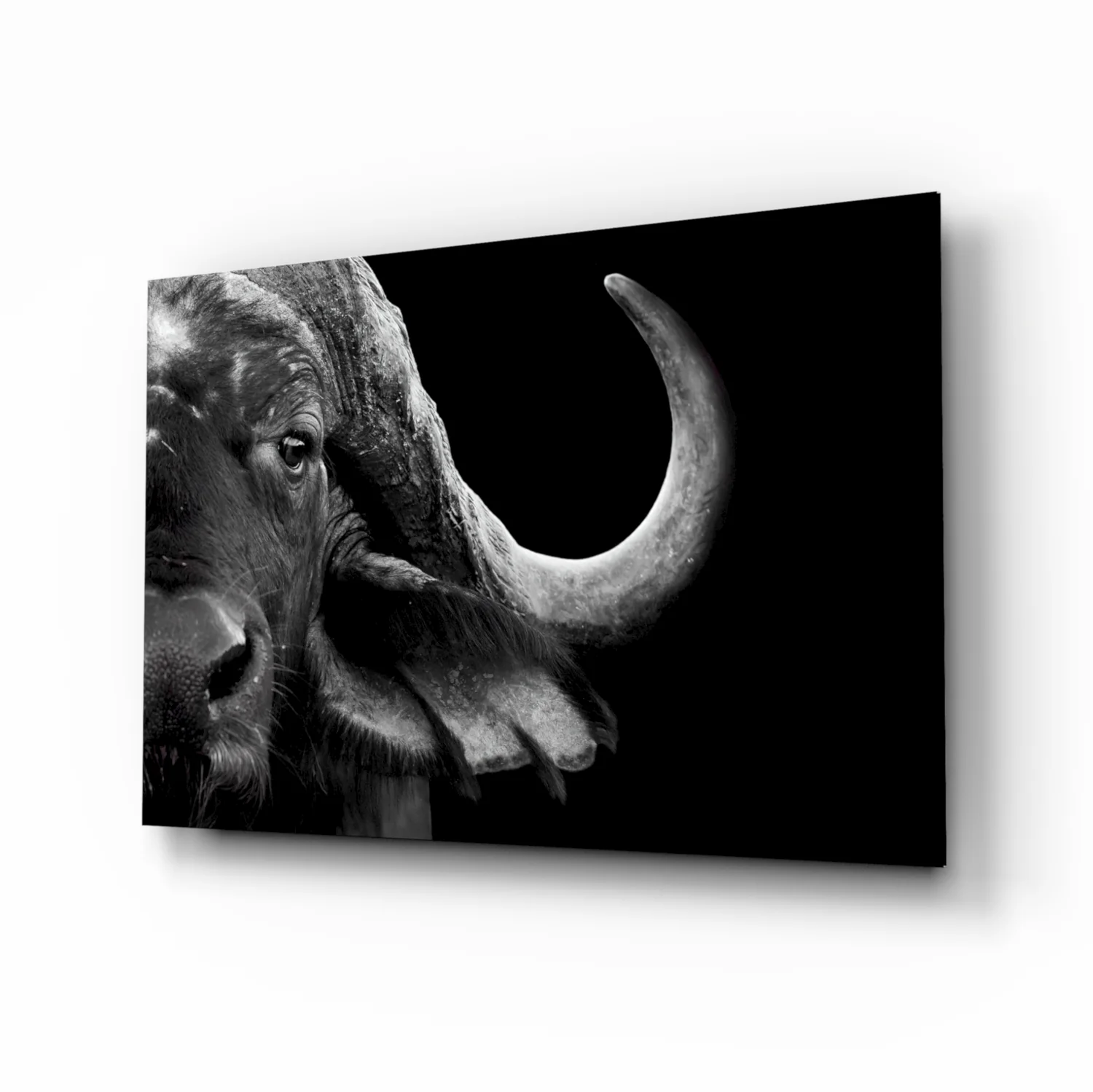 Bison Glass Wall Art