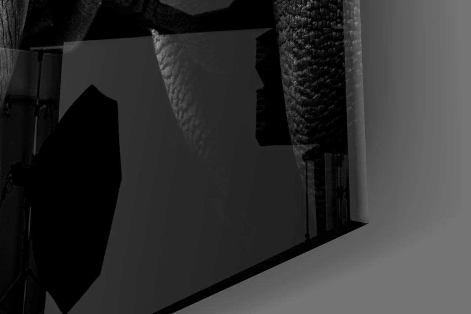 Black and White Rhino Portrait Glass Wall Art - Image 7
