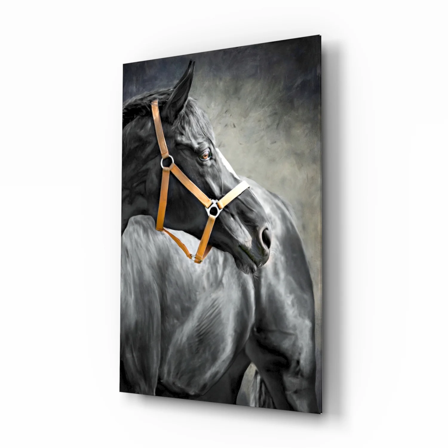 Black Horse Leather Halter Glass Wall Art - Image 2