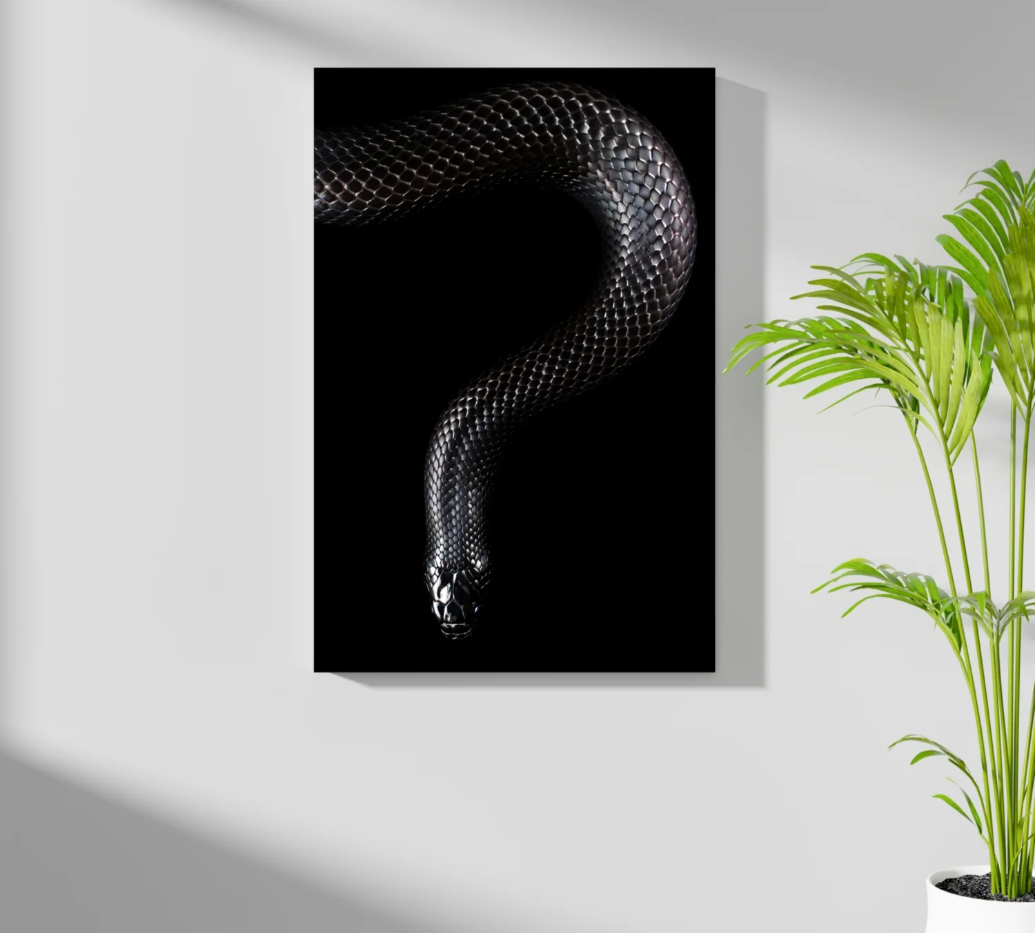 Black Snake Aluminum Print - Image 7