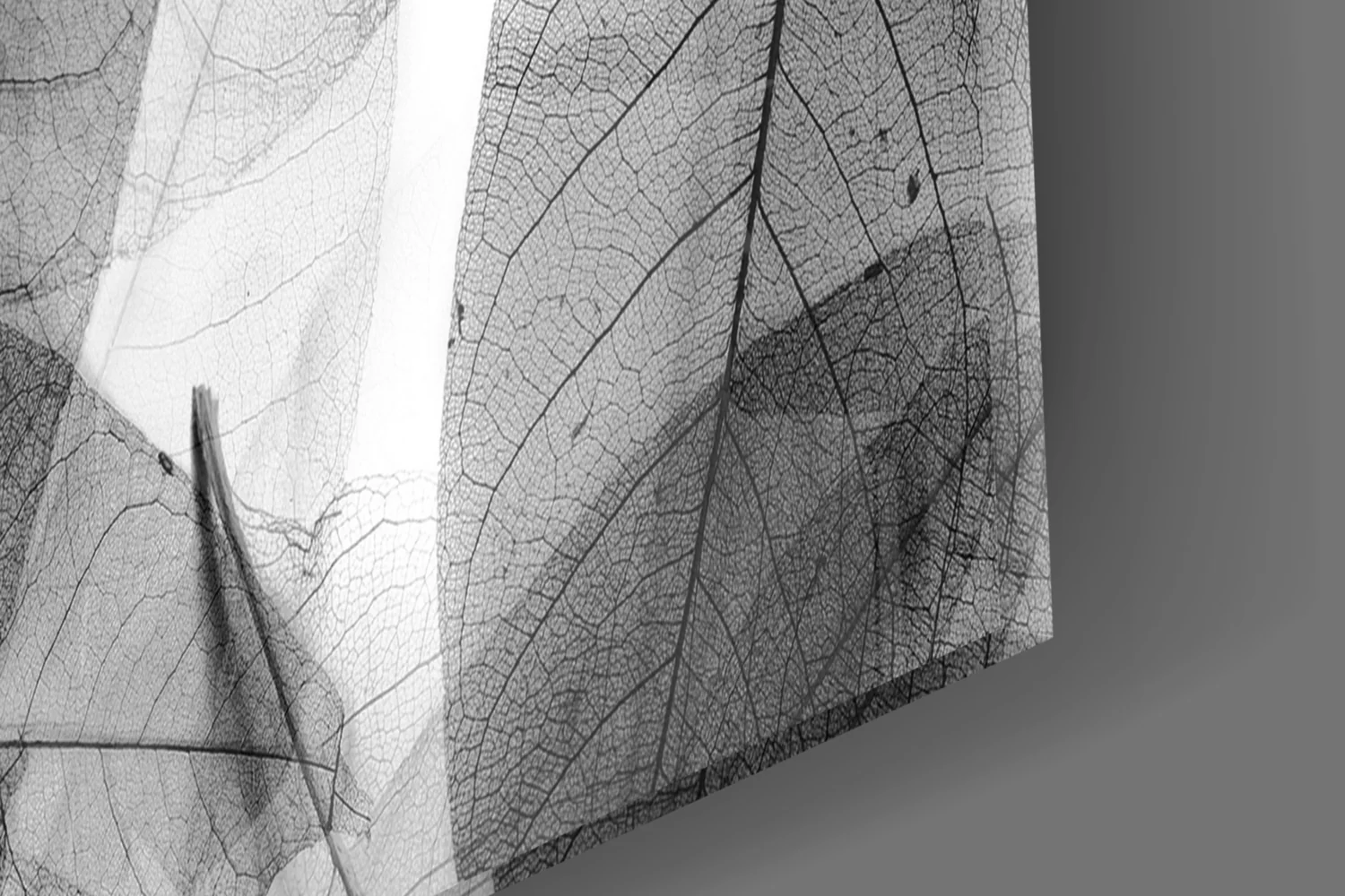 Black - White Leaves Glass Wall Art - Image 8