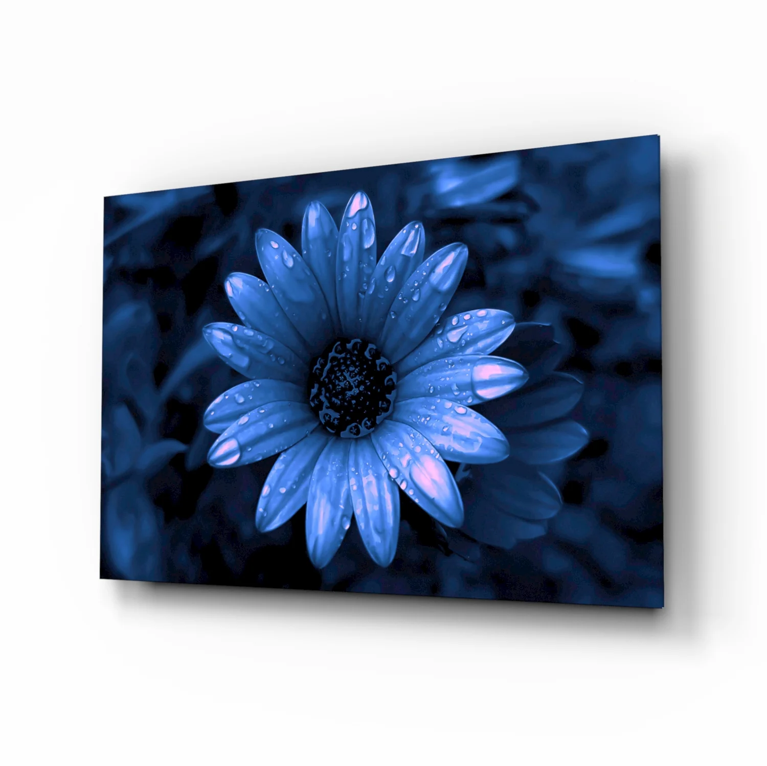 Blue Dewy Daisy Bloom Glass Wall Art - Image 2