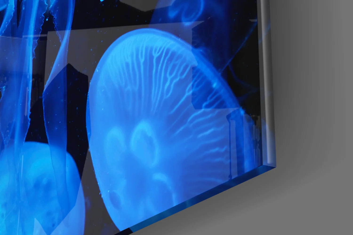 Blue Moon Jellyfish Deep Sea Glass Wall Art - Image 7