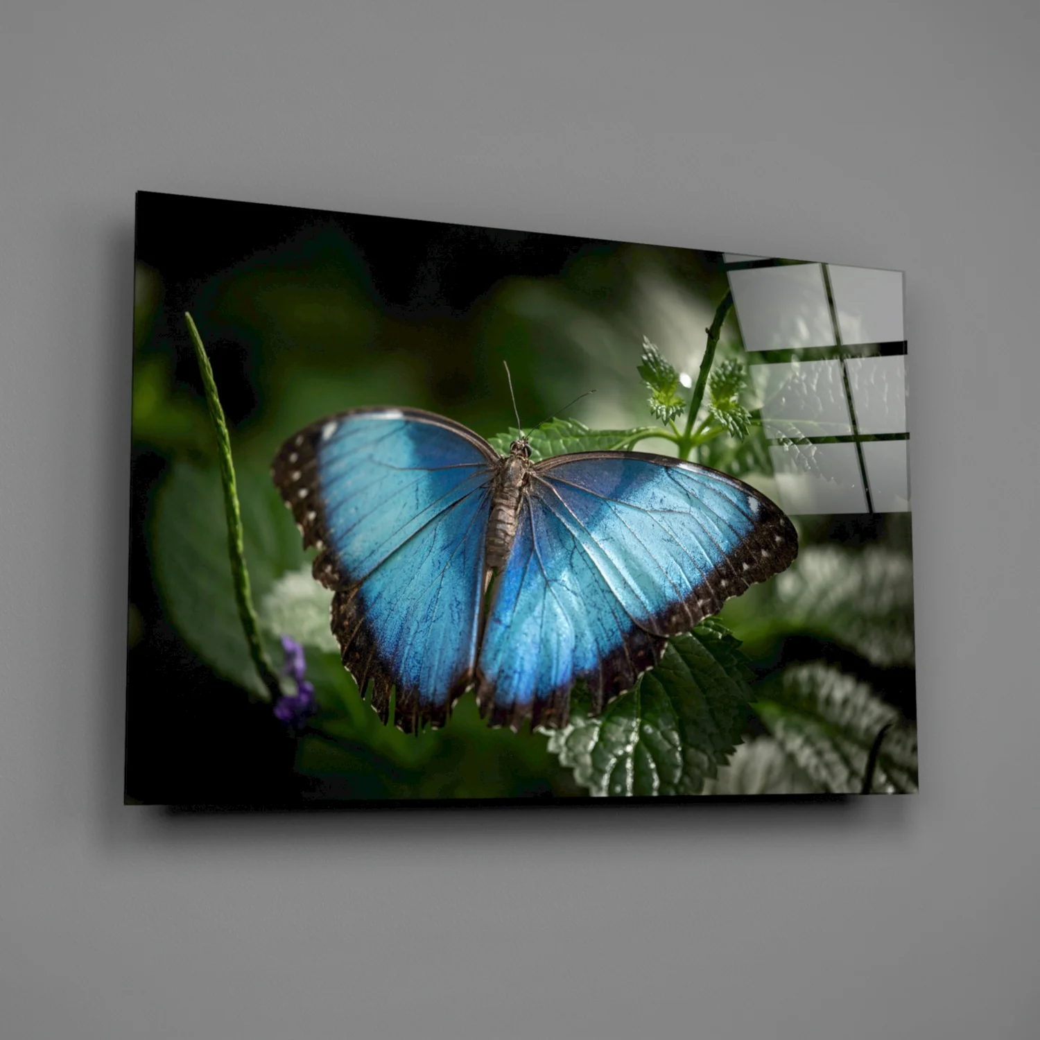 Blue Morpho on Leaves Butterfly Glass Wall Art - Image 2