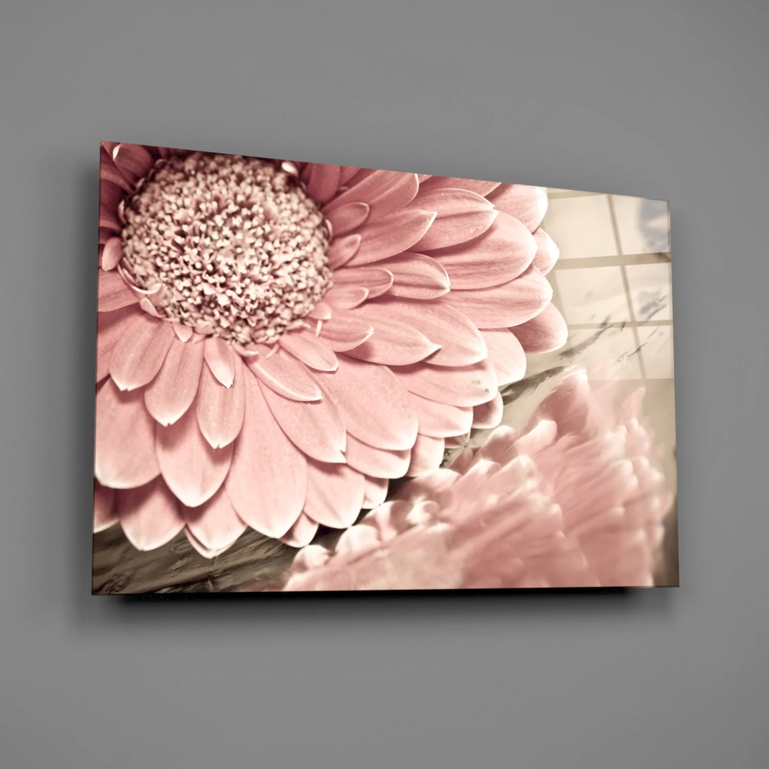 Blush Gerbera Daisy Macro Glass Wall Art - Image 3