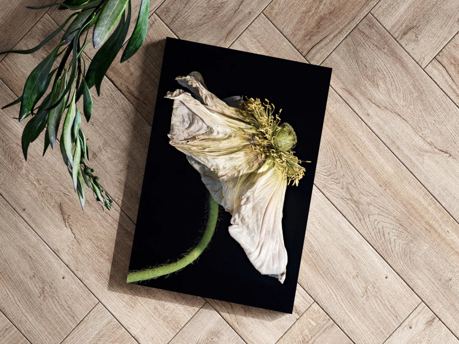 Flower Aluminum Print - Image 3