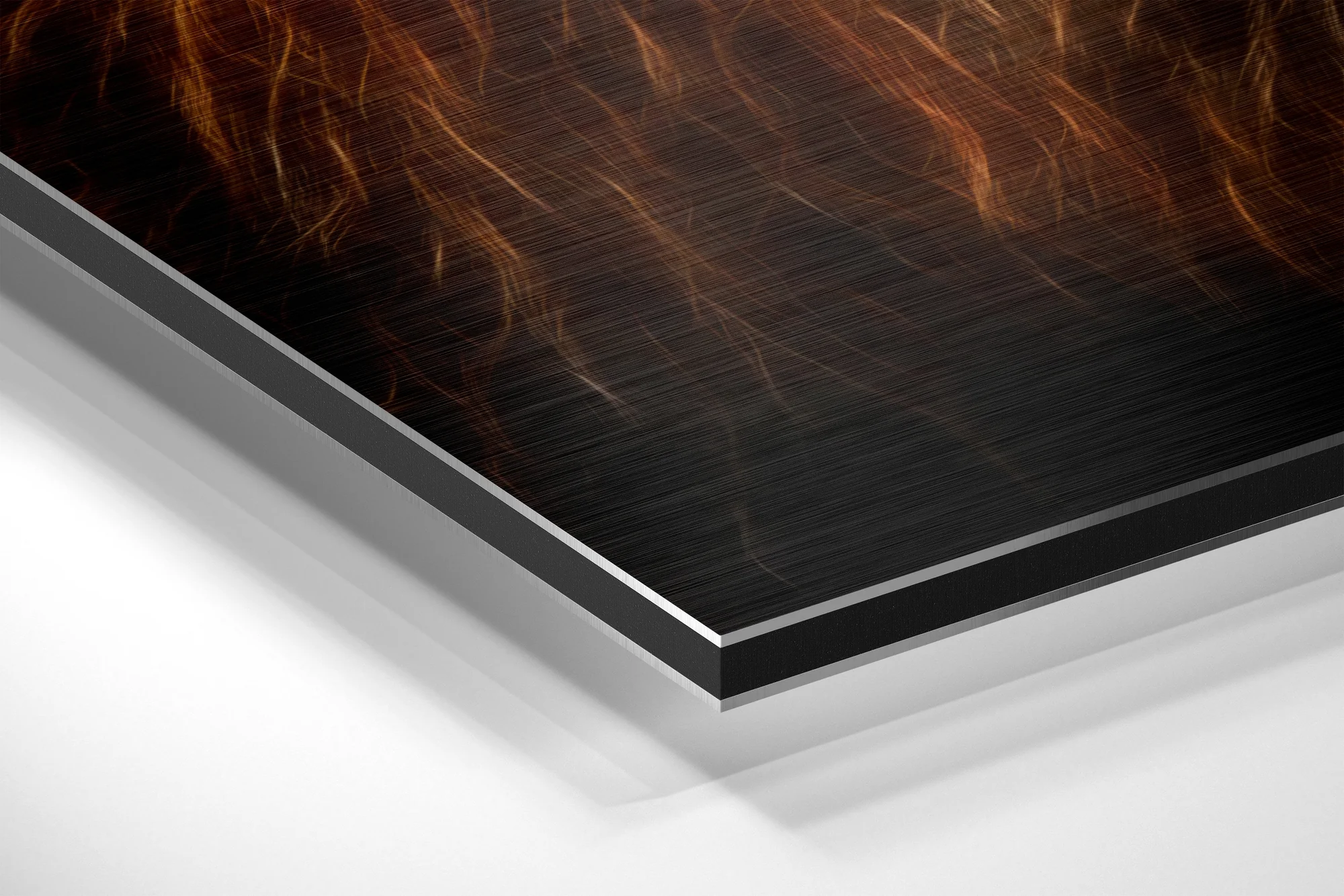 Lion Brushed Aluminium Dibond Wall Art - Image 2