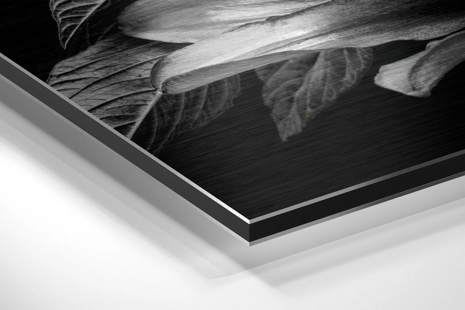 Lillium Brushed Aluminium Dibond Wall Art - Image 2