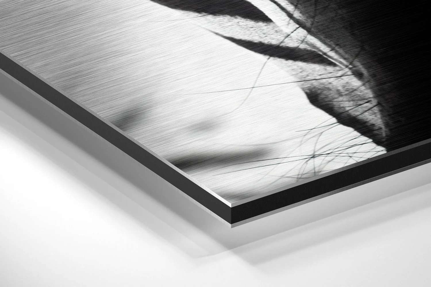 Zebra Brushed Aluminium Dibond Wall Art - Image 2