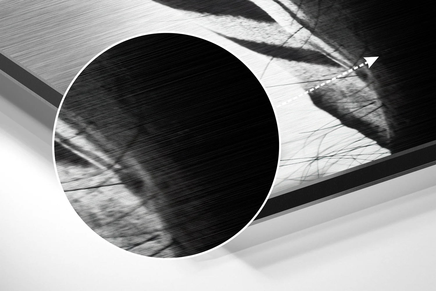 Zebra Brushed Aluminium Dibond Wall Art - Image 3