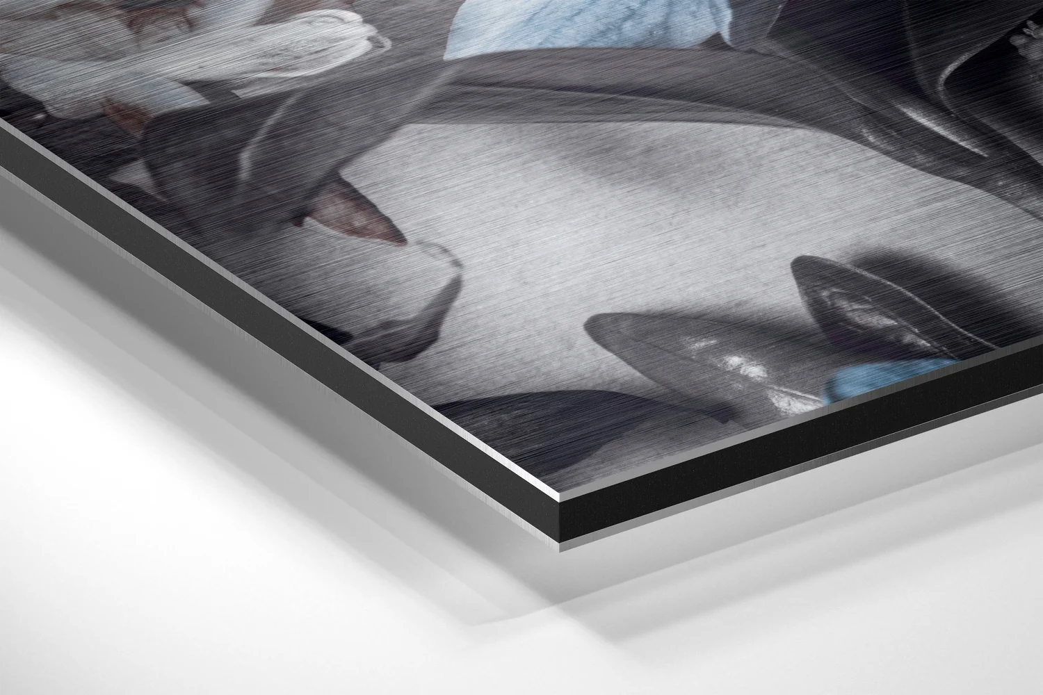 Flowers Brushed Aluminium Dibond Wall Art - Image 2