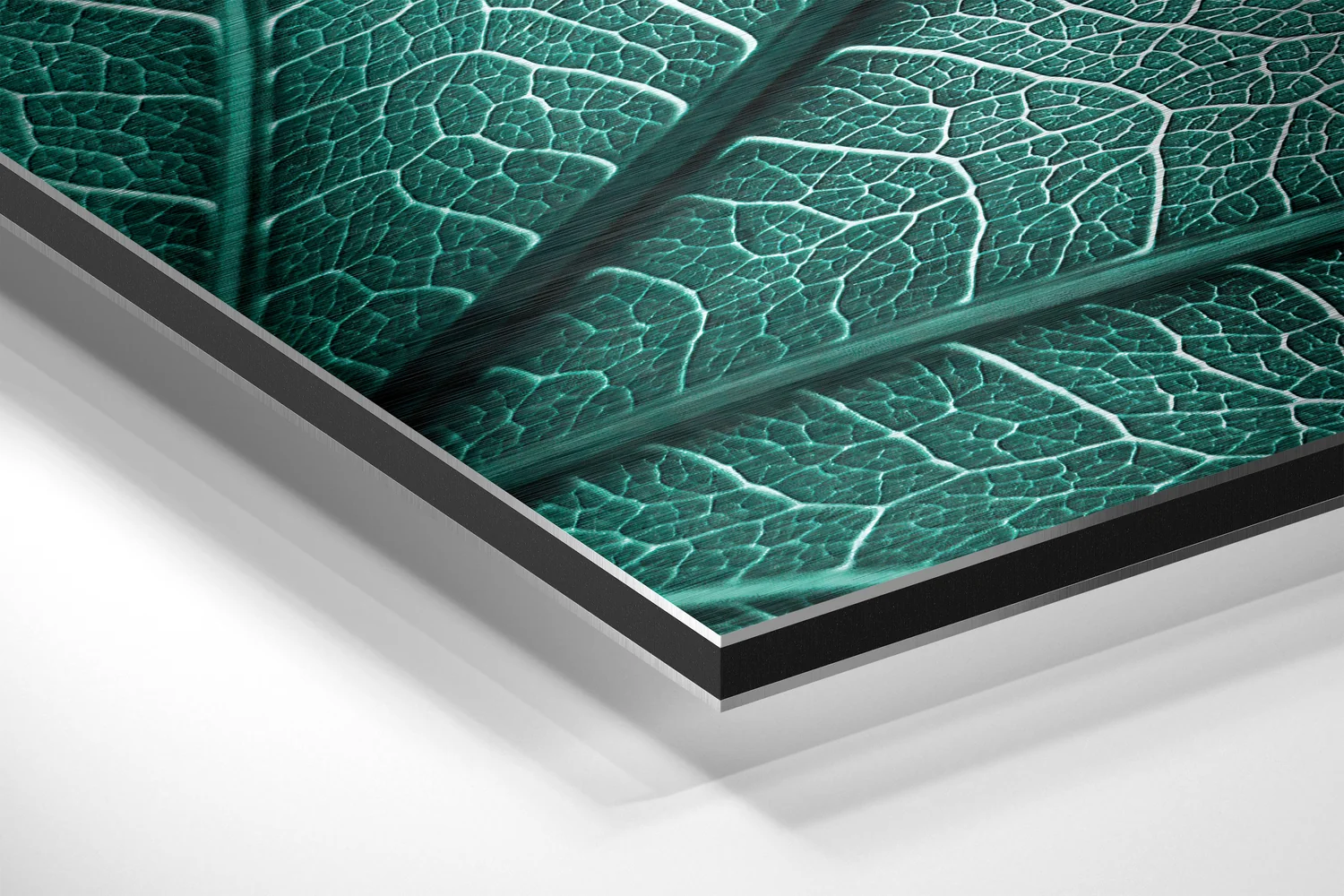 Leaf Brushed Aluminium Dibond Wall Art - Image 2