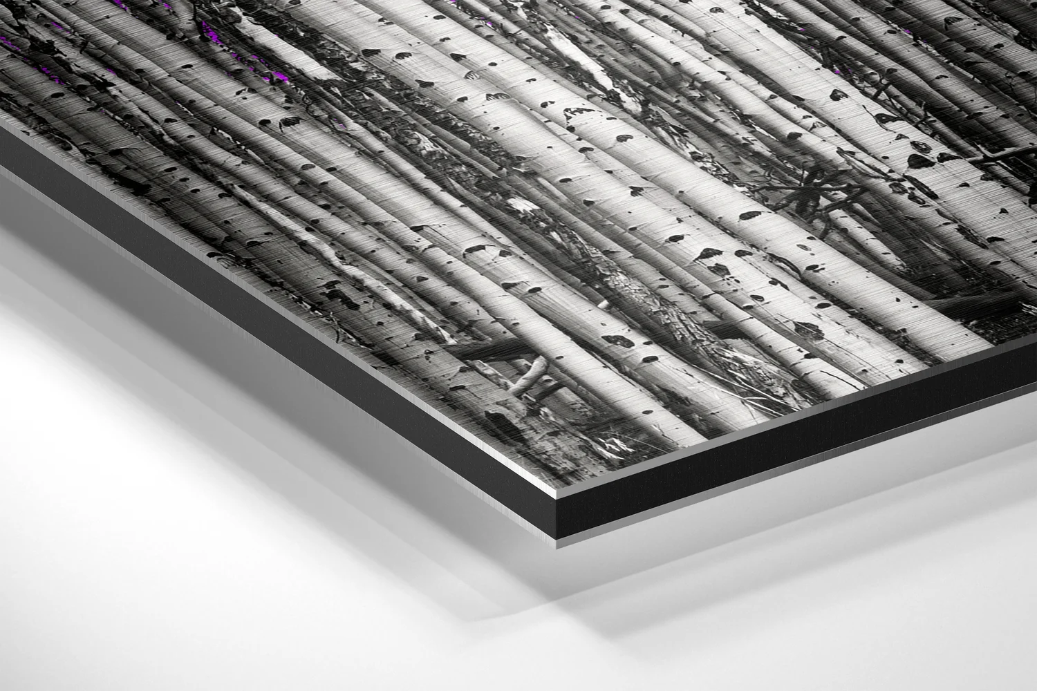 Forest Brushed Aluminium Dibond Wall Art - Image 2