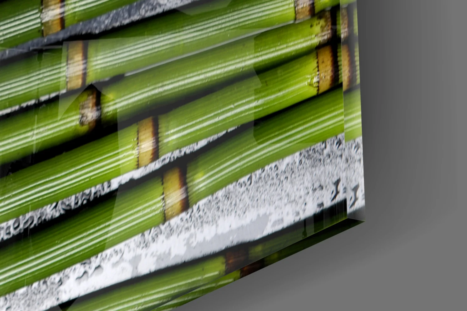 Burgundy Orchid Bamboo Stalks Glass Wall Art - Image 7