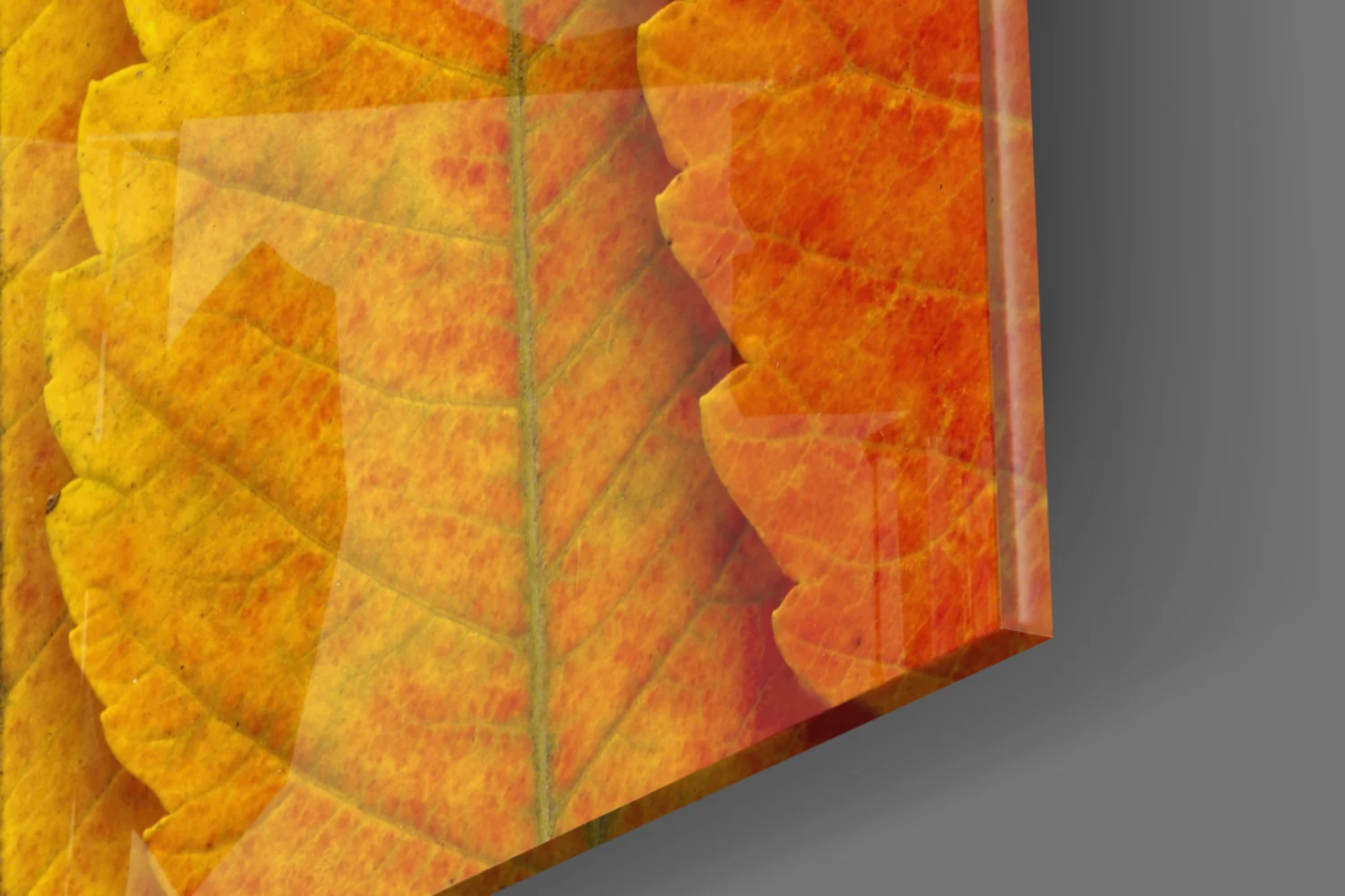 Autumn Leaves Glass Wall Art - Image 8