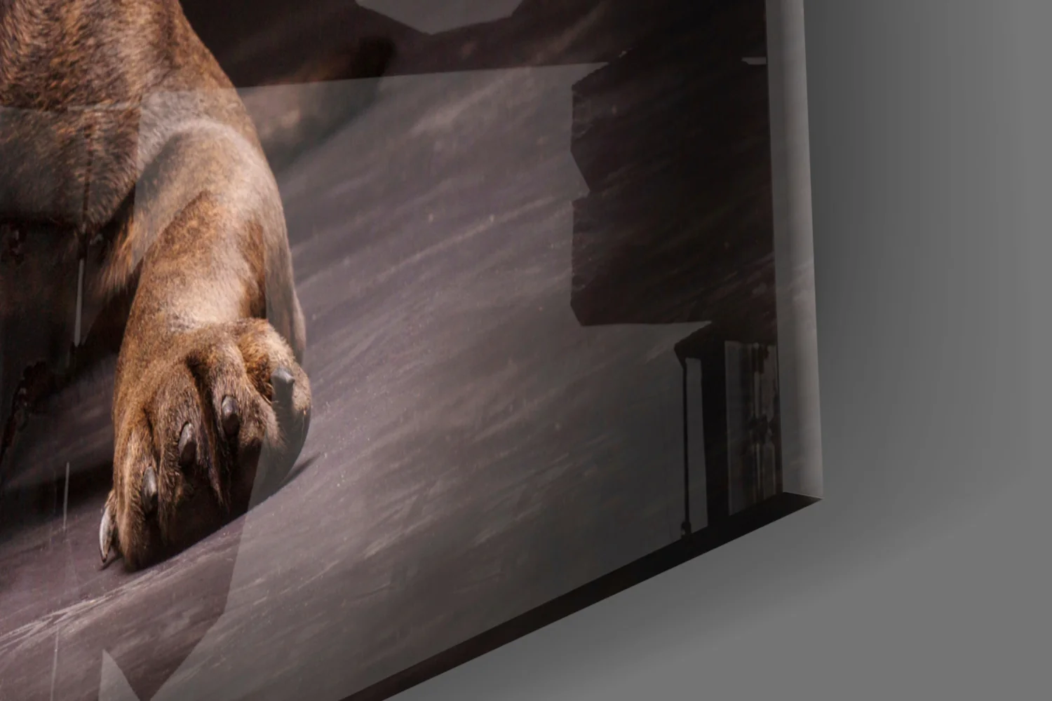 Cane Corso Studio Portrait Glass Wall Art - Image 7