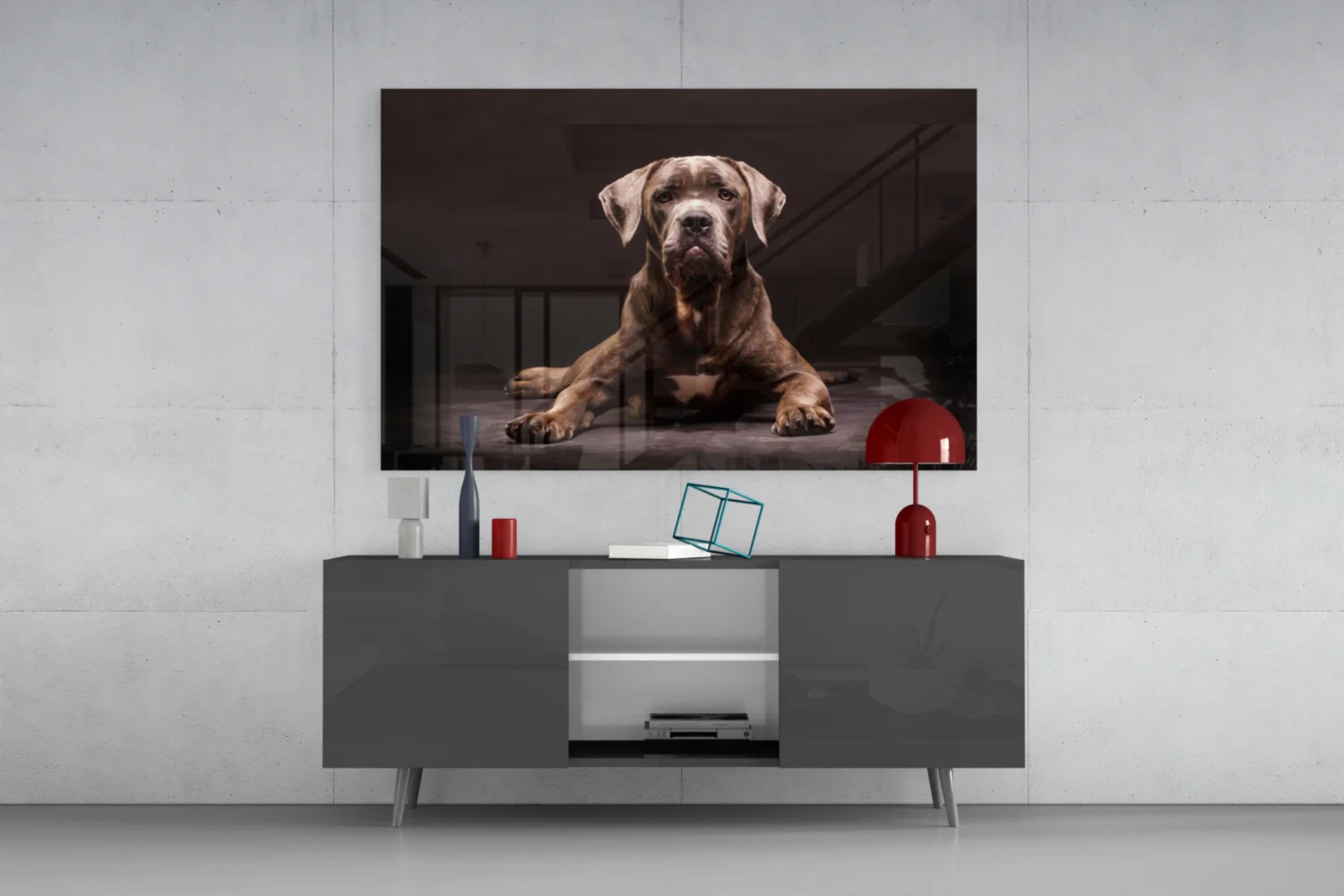 Cane Corso Studio Portrait Glass Wall Art - Image 8