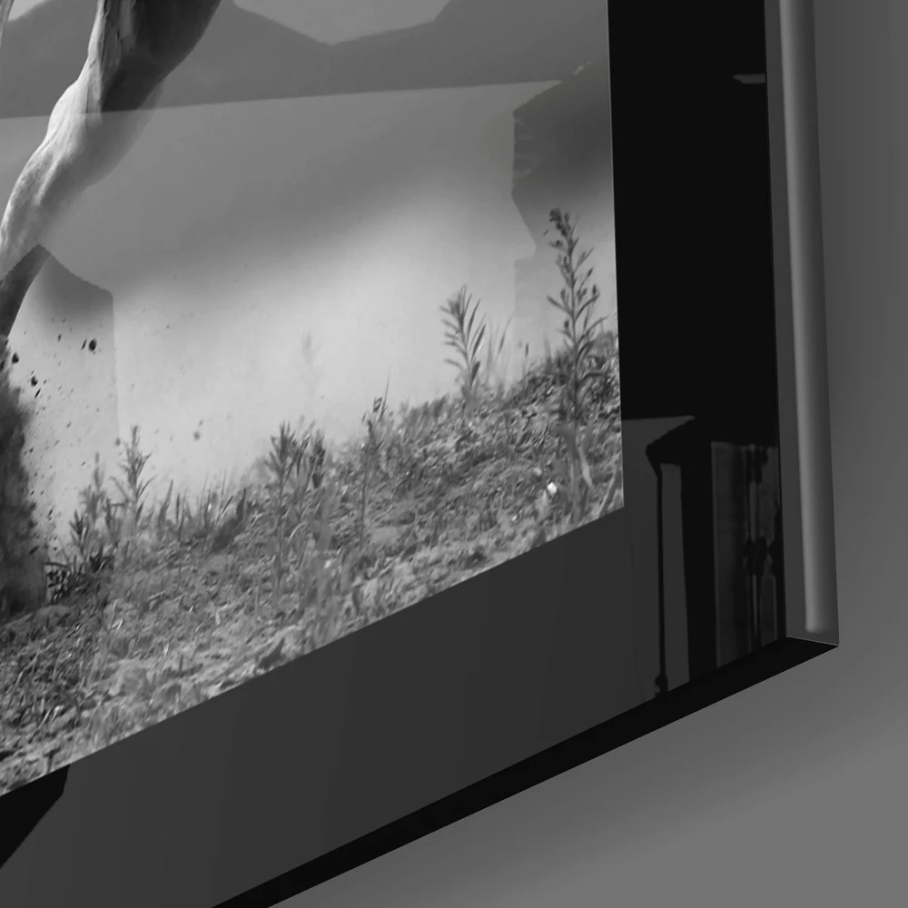 Charging White Horse Photo Glass Wall Art - Image 3