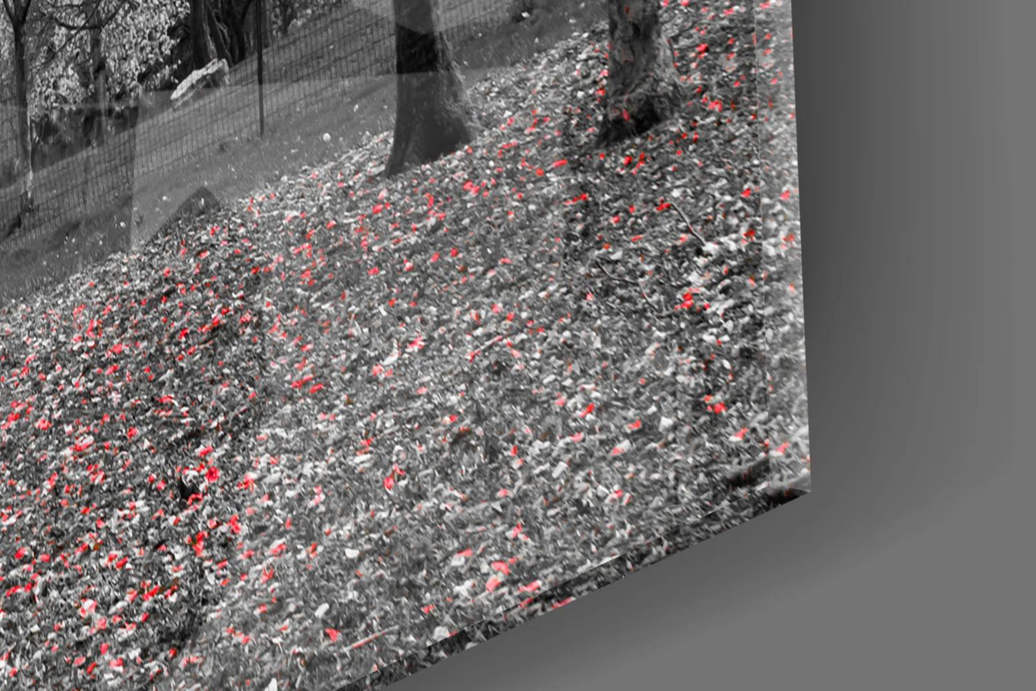 Crimson Autumn Park Trees Glass Wall Art - Image 8