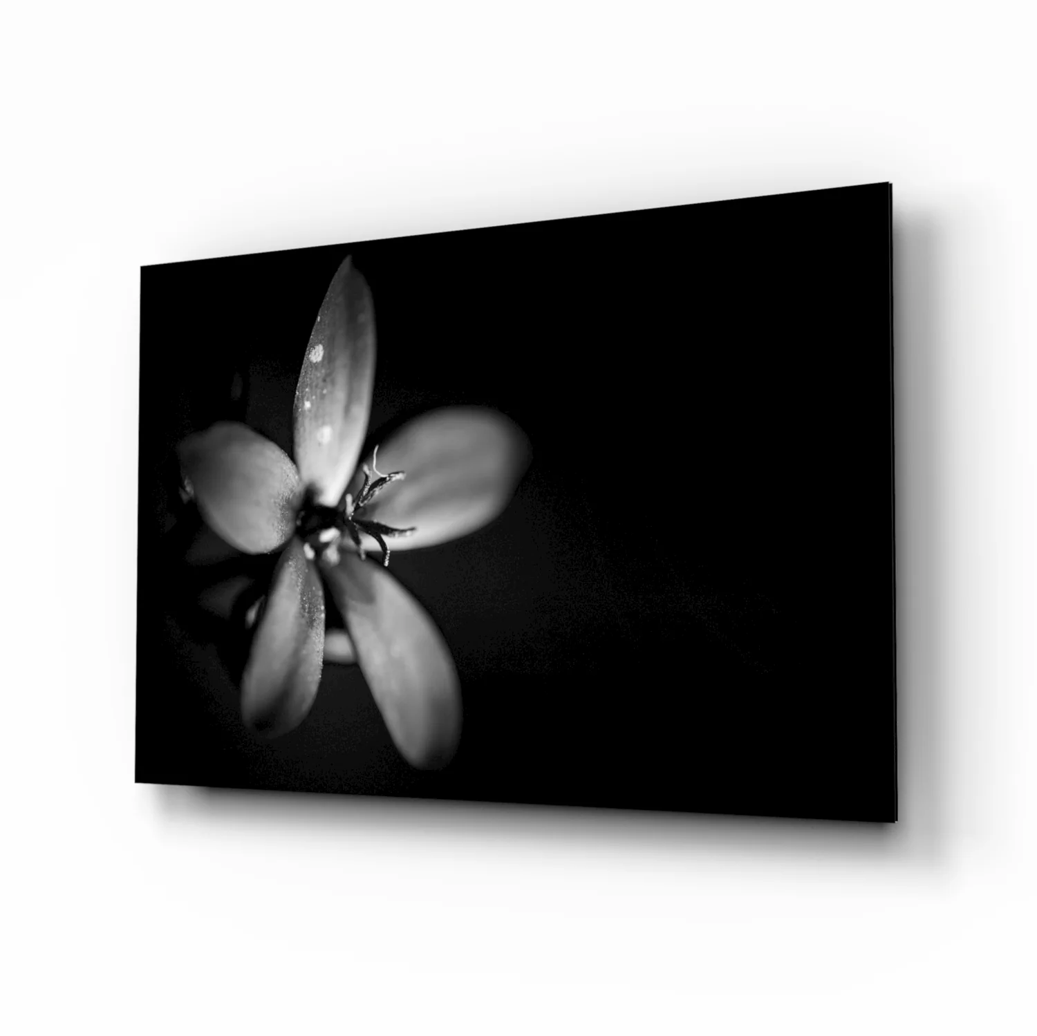 Dark Moody Dewdrop Flower Glass Wall Art - Image 2