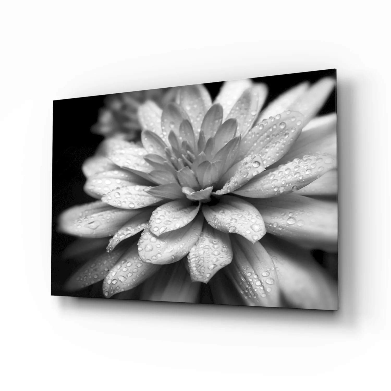 Dewy Gray Dahlia Macro Glass Wall Art - Image 2