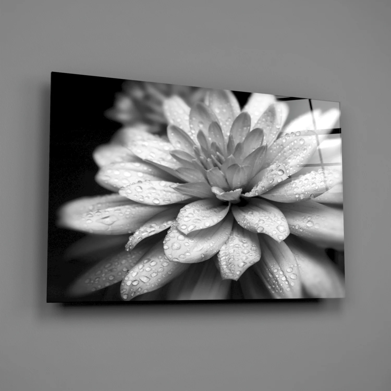 Dewy Gray Dahlia Macro Glass Wall Art - Image 3