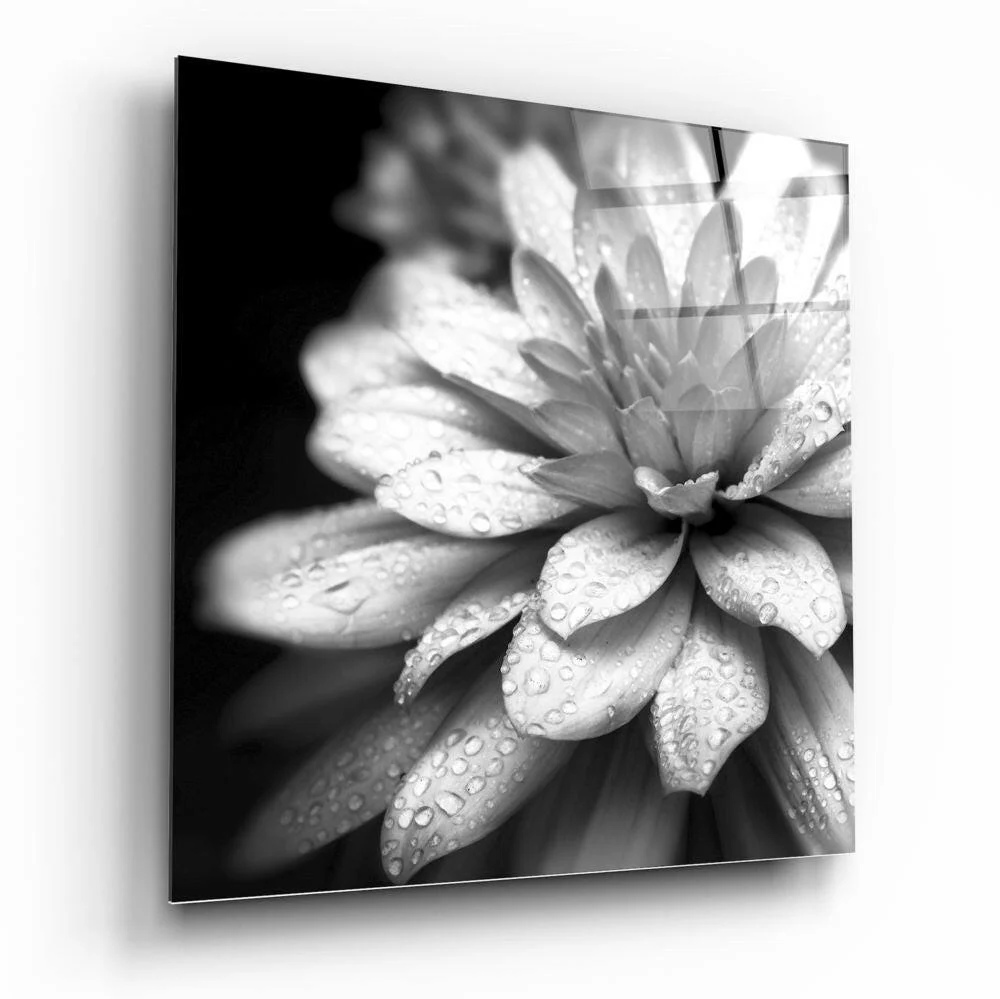 Dewy Monochrome Dahlia Glass Wall Art - Image 2