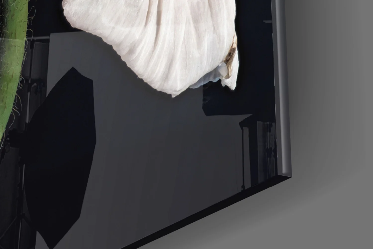 Dried White Poppy Stem Glass Wall Art - Image 8