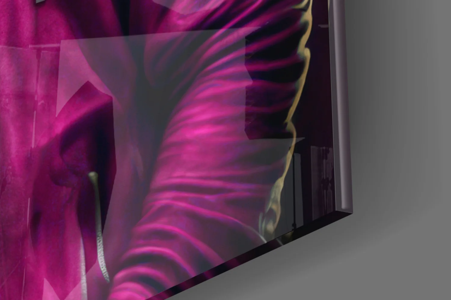 Animal Vogue Glass Wall Art|| Designer's Collection - Image 8