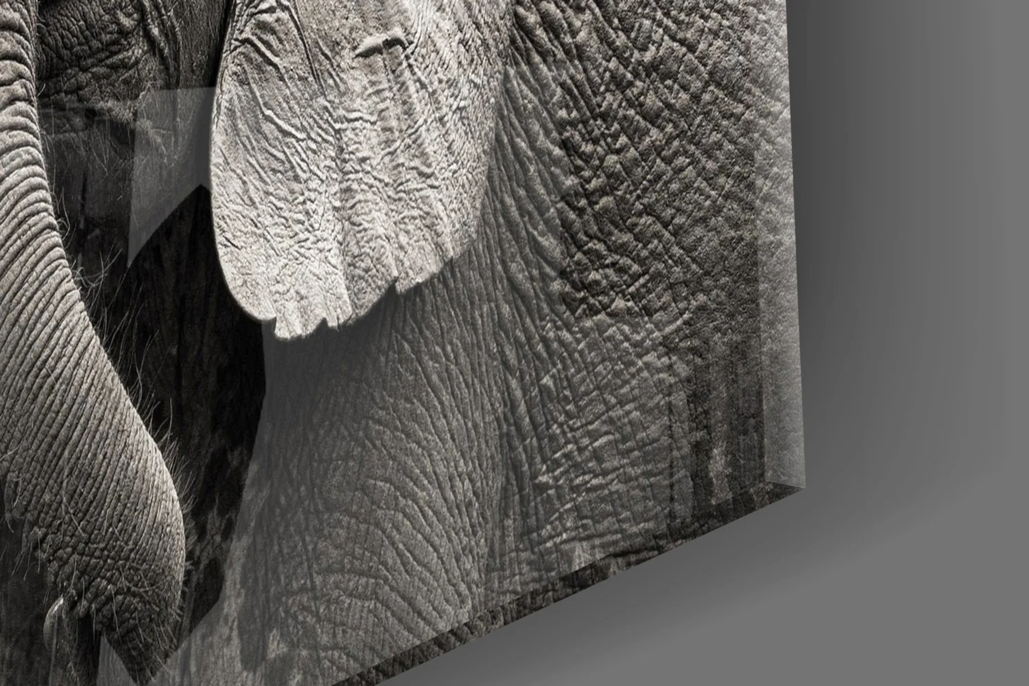 Elephants Glass Wall Art - Image 7