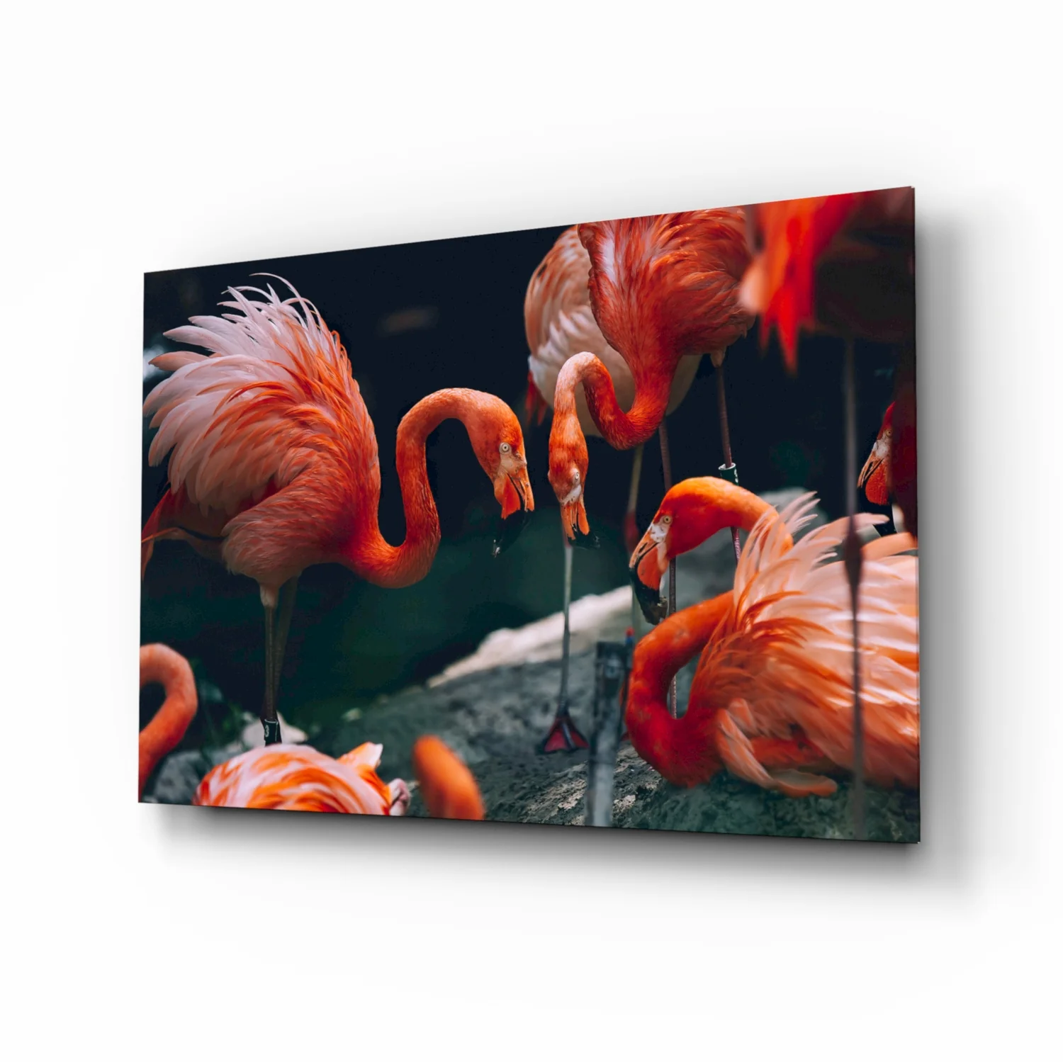 Flamingos Glass Wall Art - Image 2