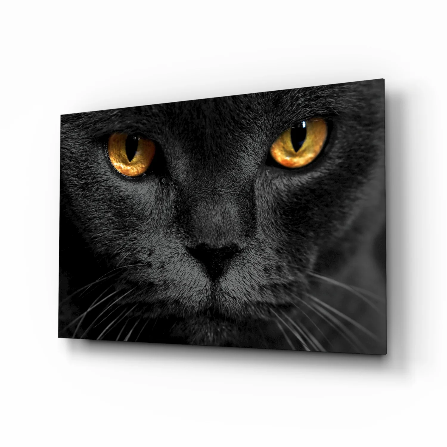 Golden Eyed Black Cat Glass Wall Art - Image 2