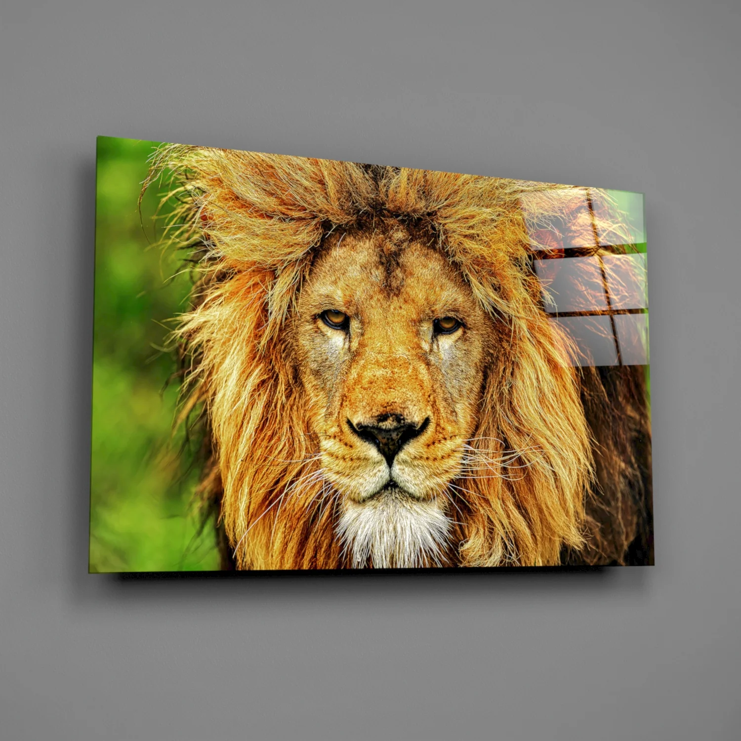 Golden Lion Green Meadow Glass Wall Art - Image 2