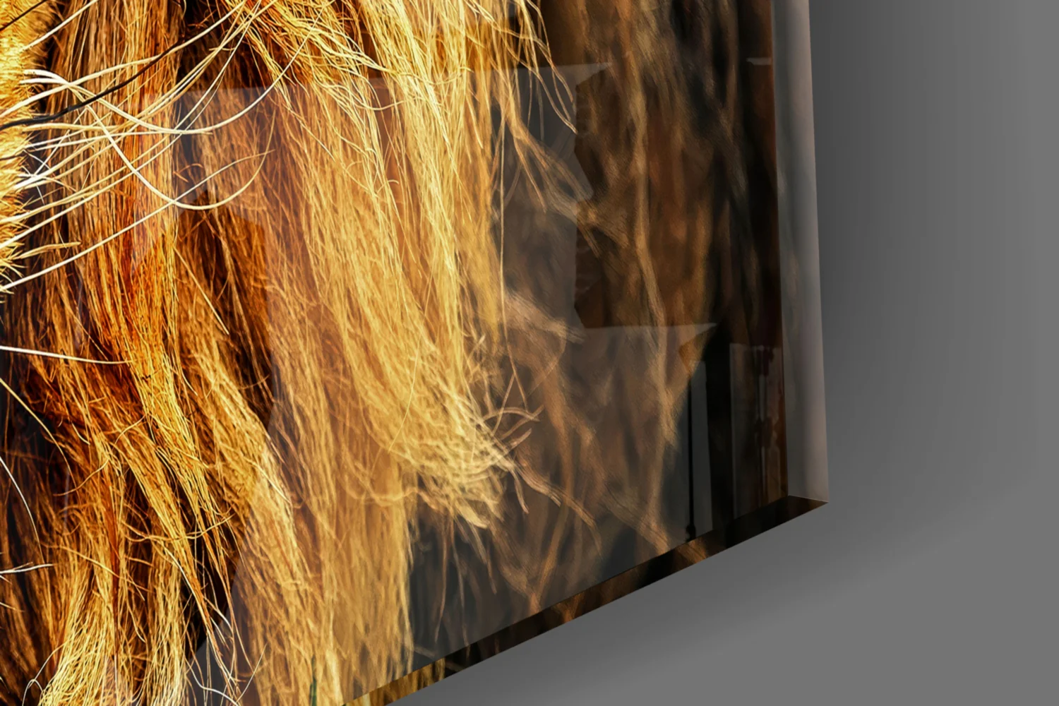 Golden Lion Green Meadow Glass Wall Art - Image 7