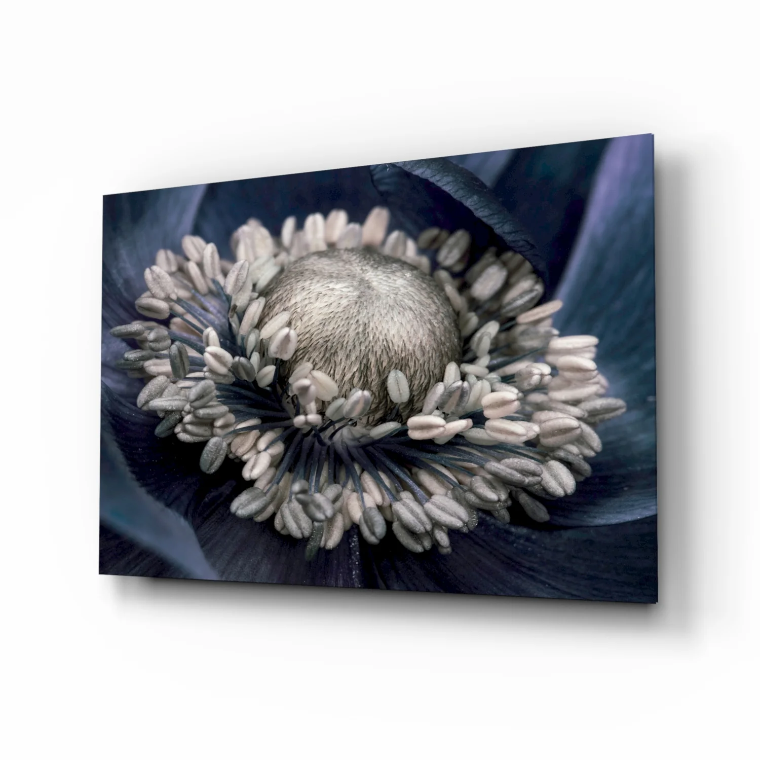 Gray Flower Glass Wall Art