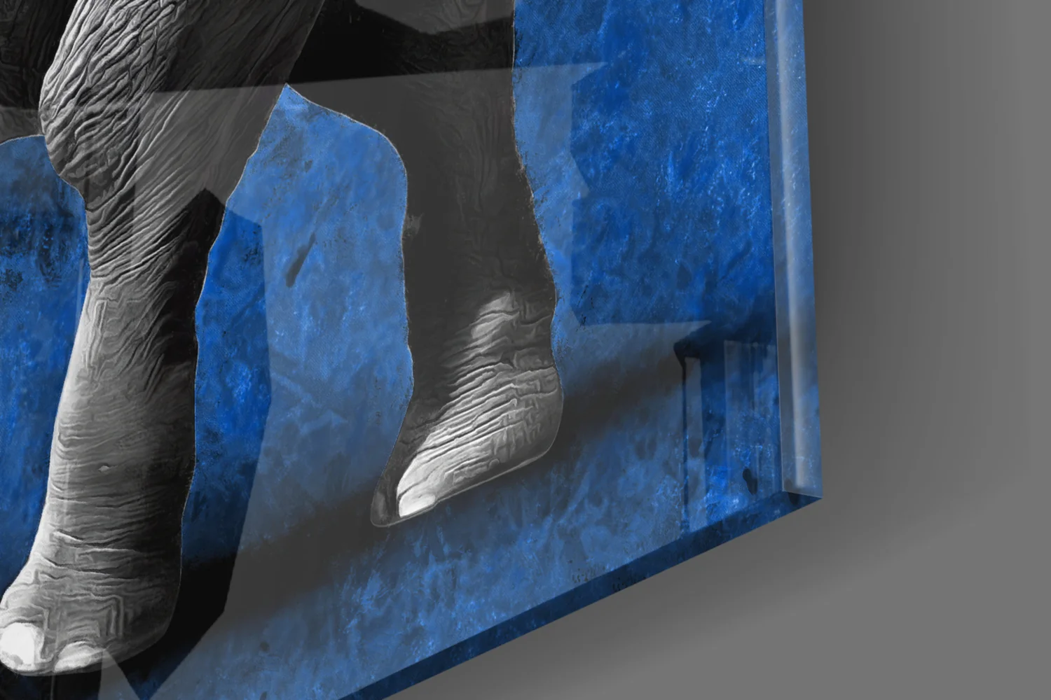 Grayscale Elephant Blue Backdrop Glass Wall Art - Image 7