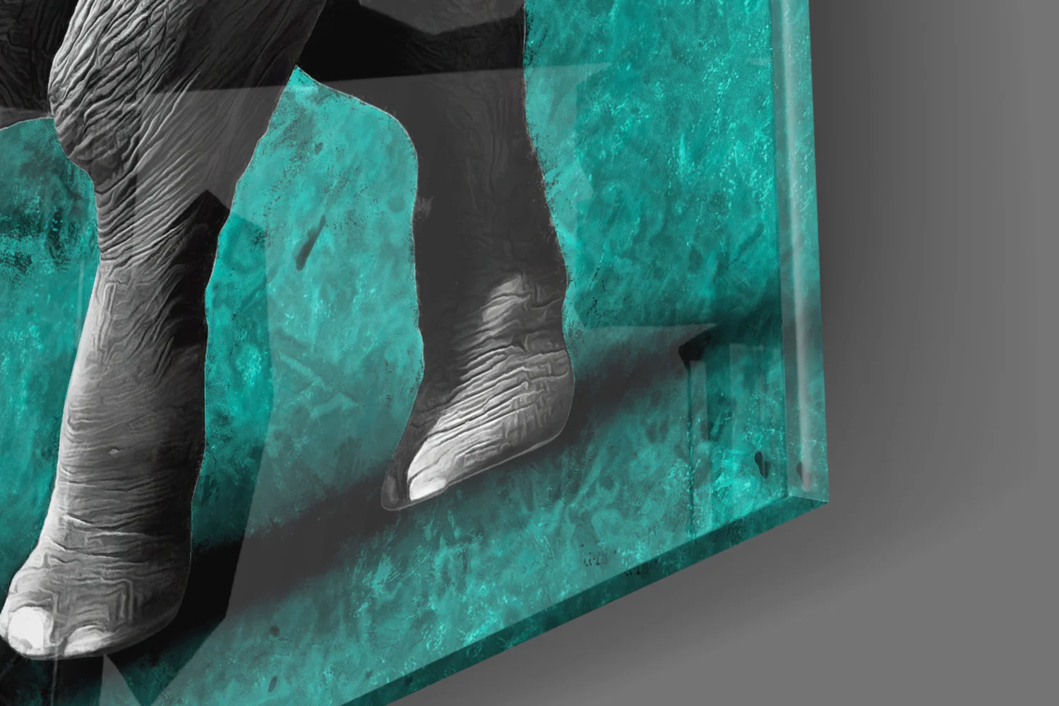 Grayscale Elephant Teal Backdrop Glass Wall Art - Image 7