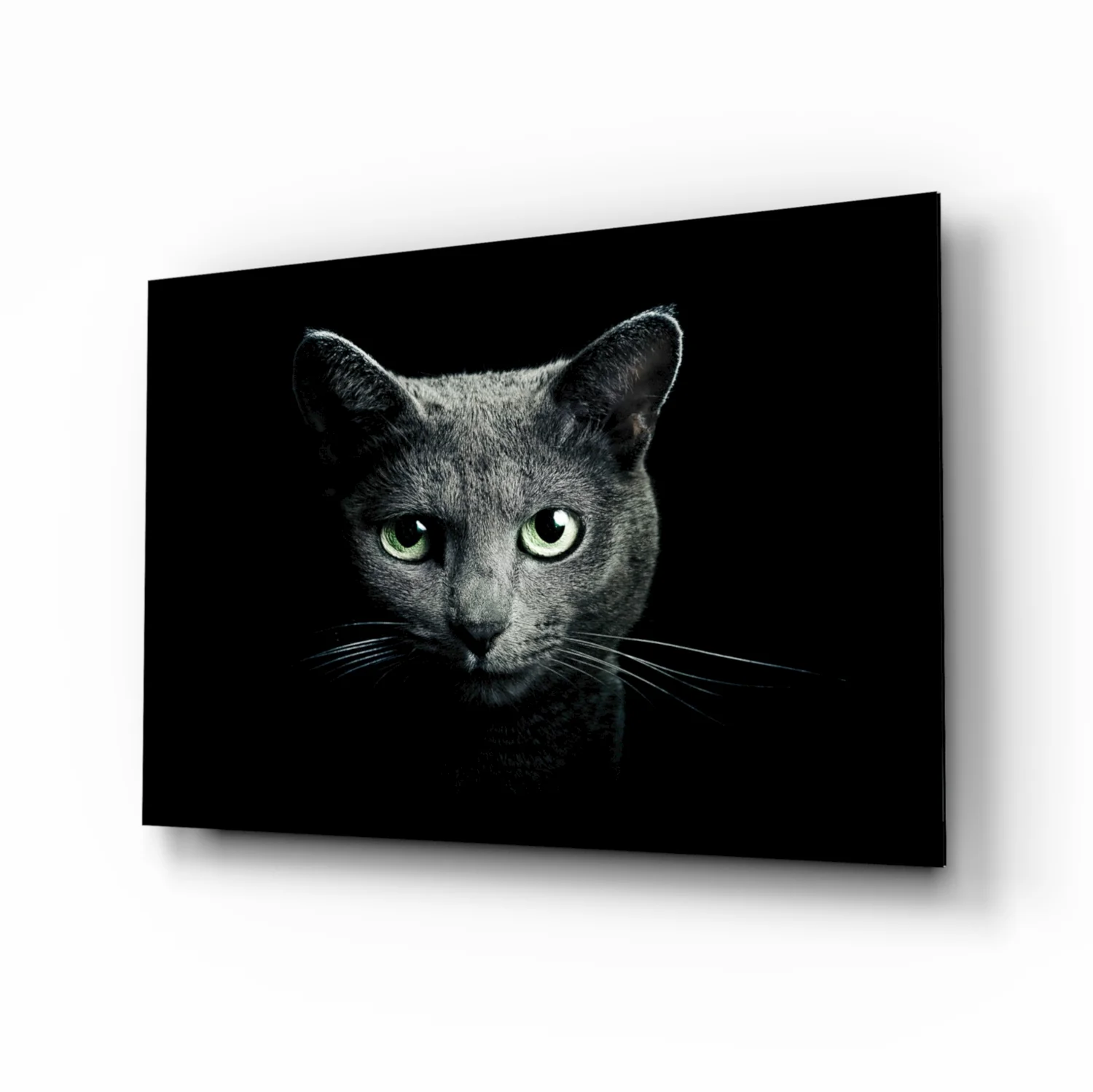 Green Eyed Blue Cat Dark Glass Wall Art