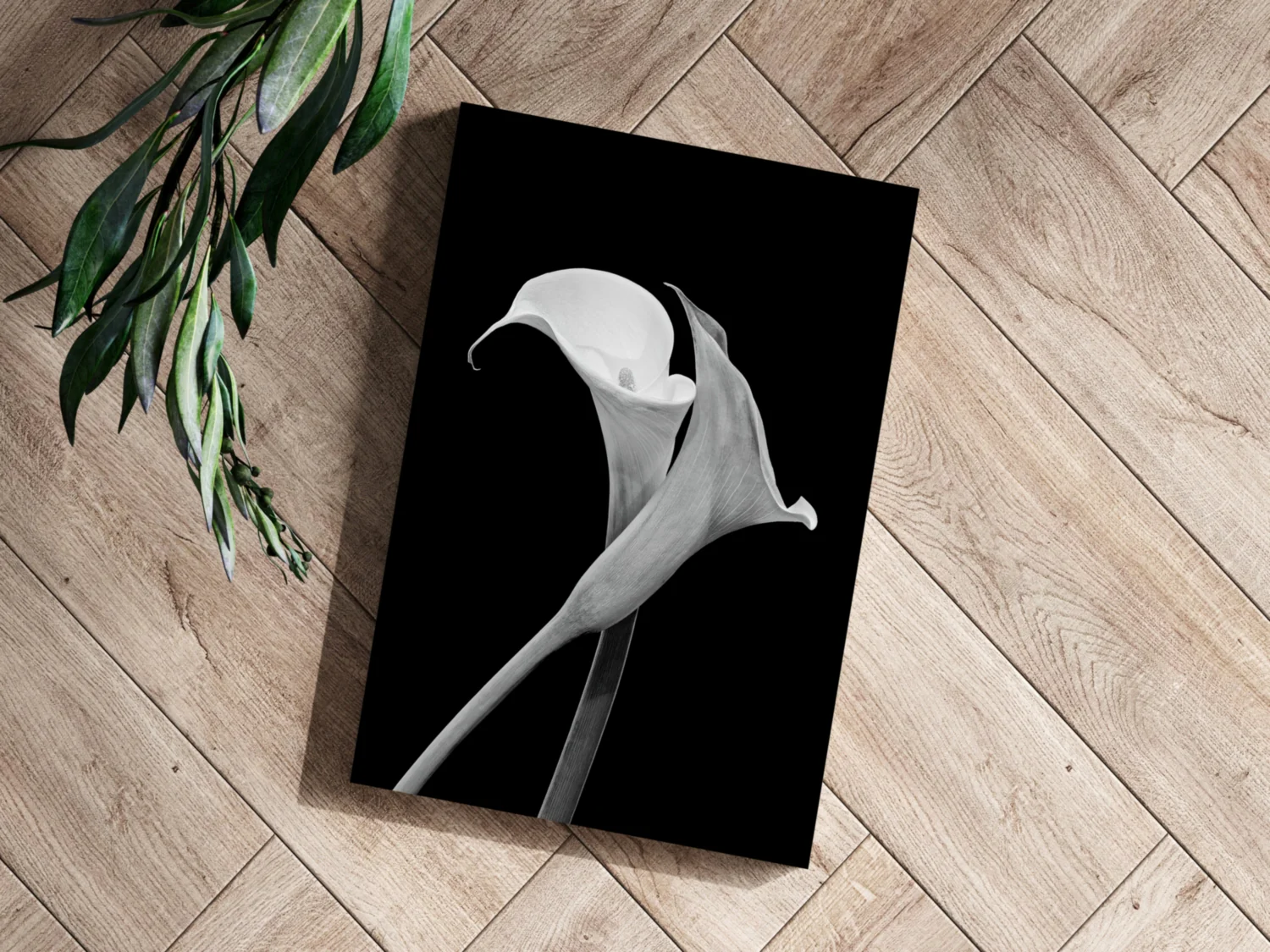 Lilly Flower Aluminum Print - Image 3