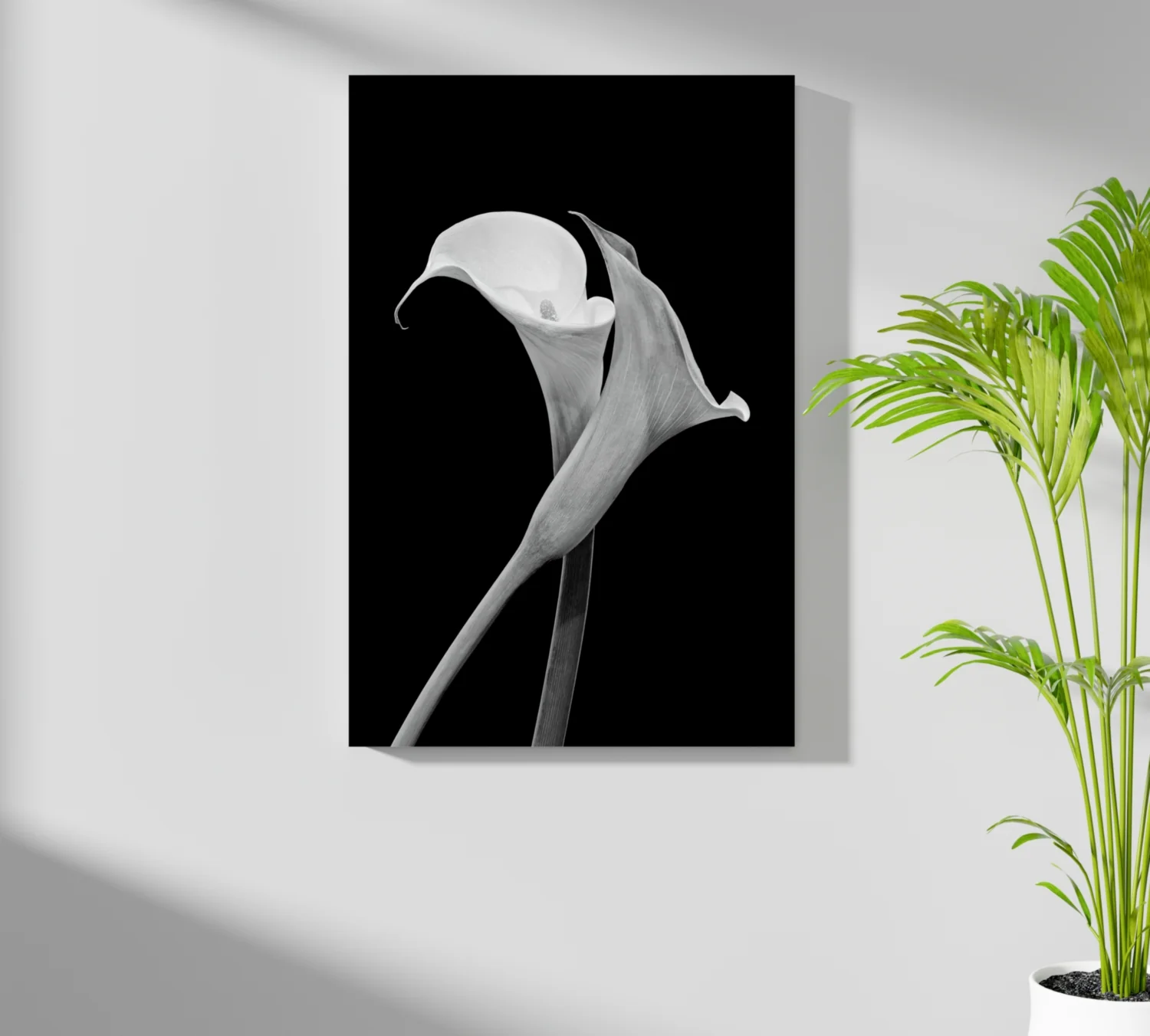 Lilly Flower Aluminum Print - Image 7