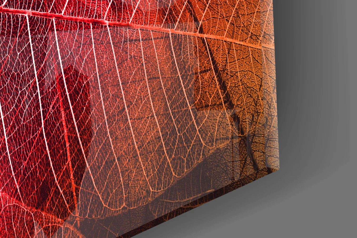 Macro Red Leaf Glass Wall Art - Image 7