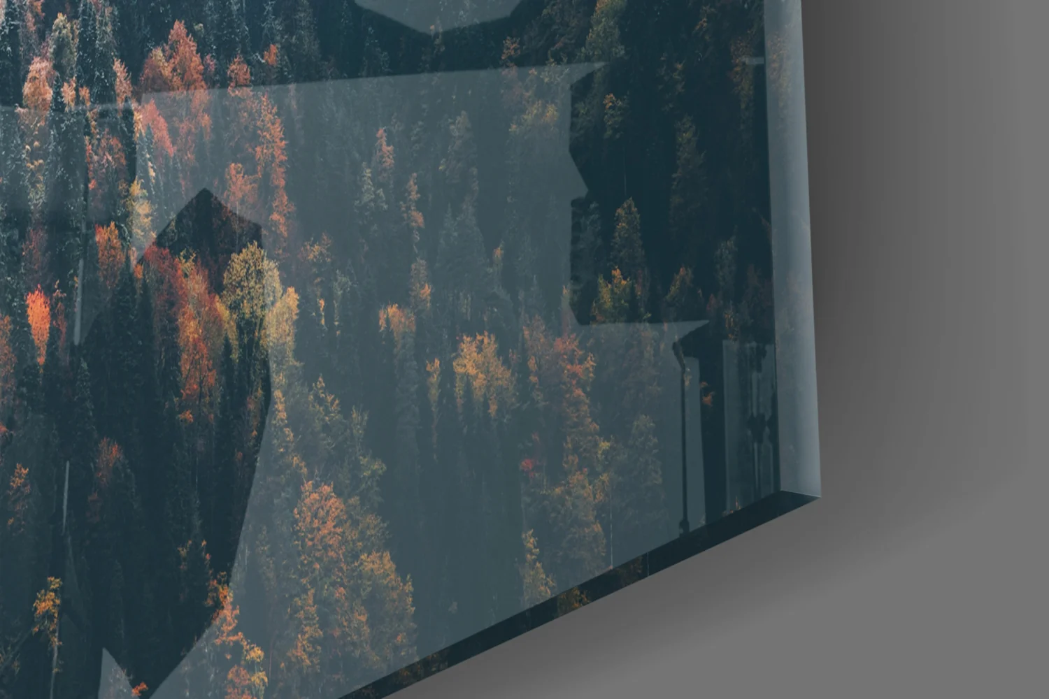 Misty Autumn Forest Slope Glass Wall Art - Image 7