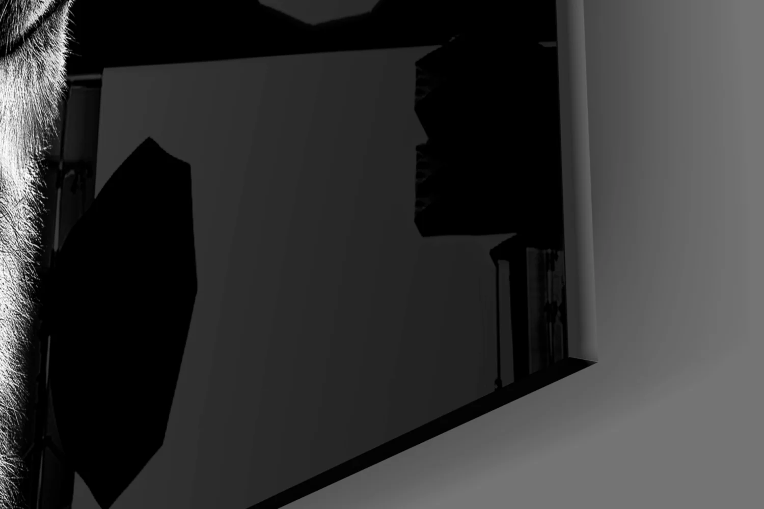 Monochrome Lion Facing Right Glass Wall Art - Image 7