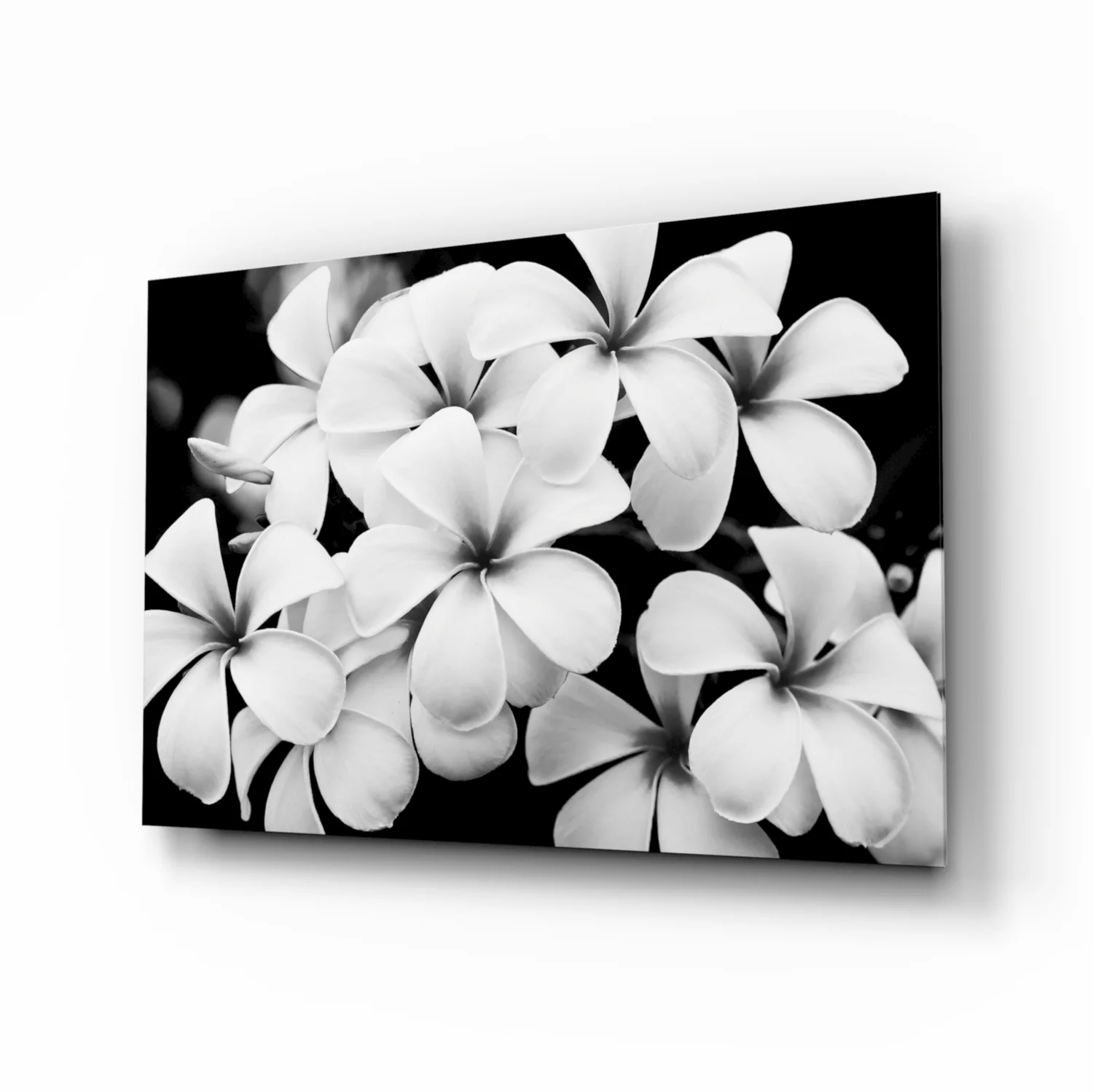 Monochrome Plumeria Cluster Glass Wall Art - Image 2